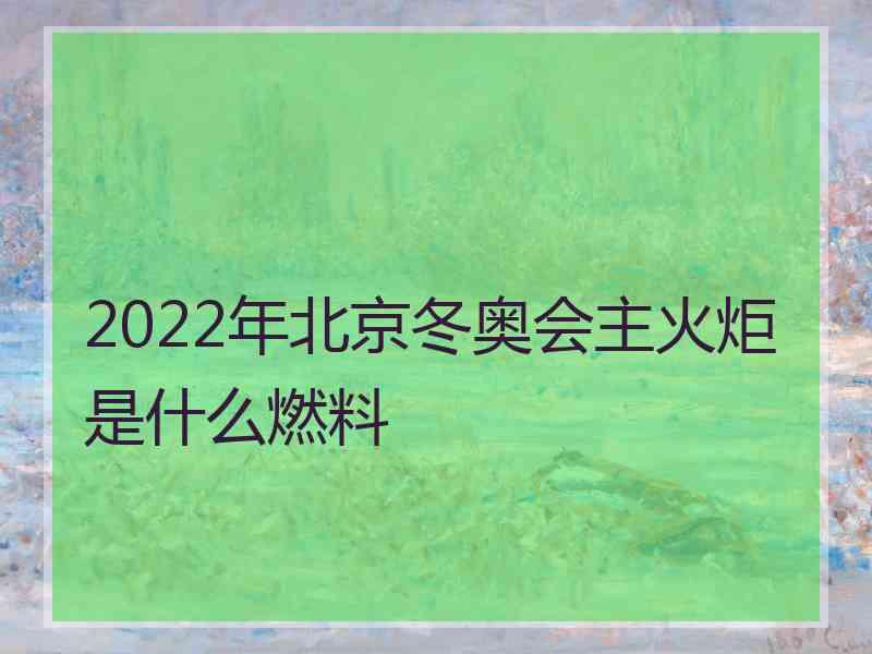 2022年北京冬奥会主火炬是什么燃料