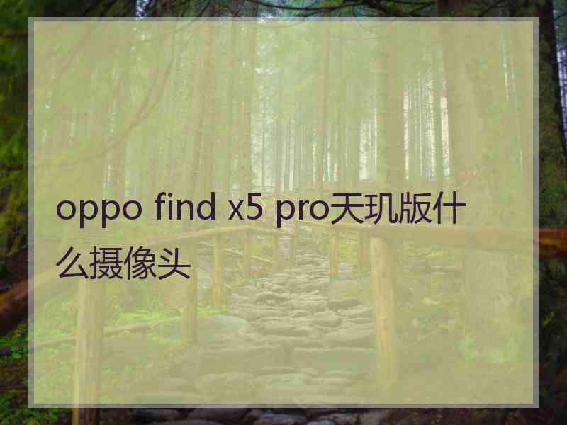 oppo find x5 pro天玑版什么摄像头