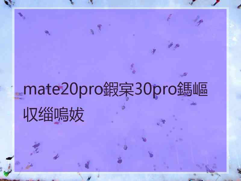 mate20pro鍜宲30pro鎷嶇収缁嗚妭