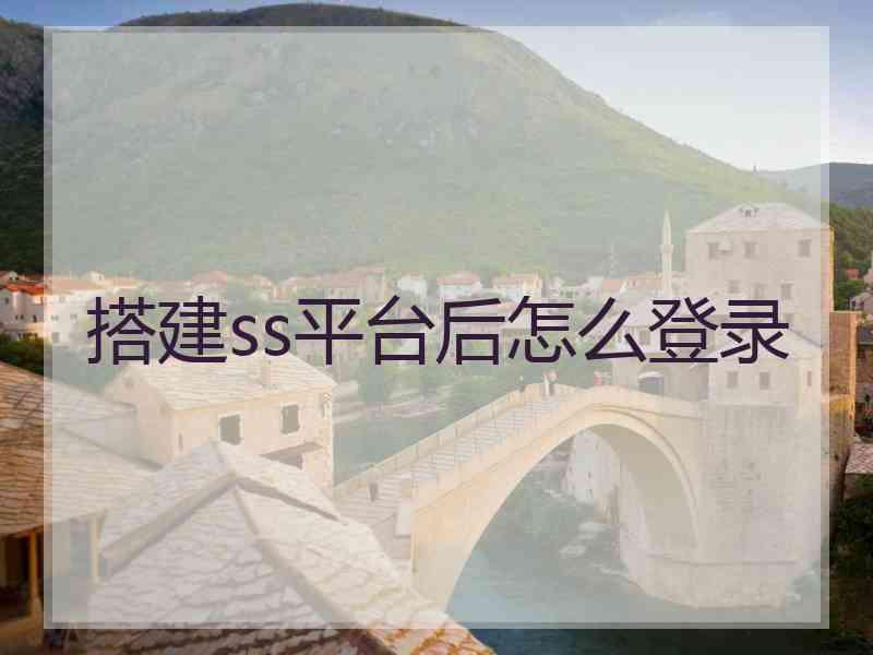 搭建ss平台后怎么登录