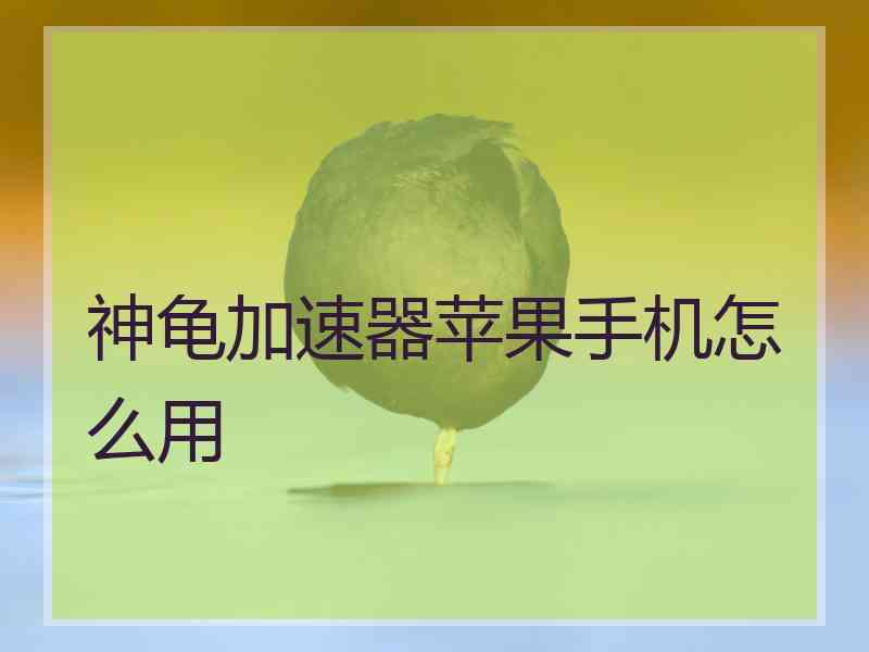 神龟加速器苹果手机怎么用