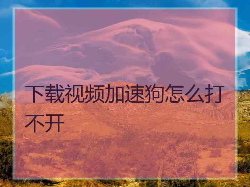 下载视频加速狗怎么打不开