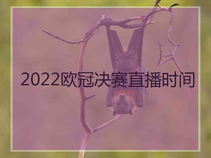 2022欧冠决赛直播时间
