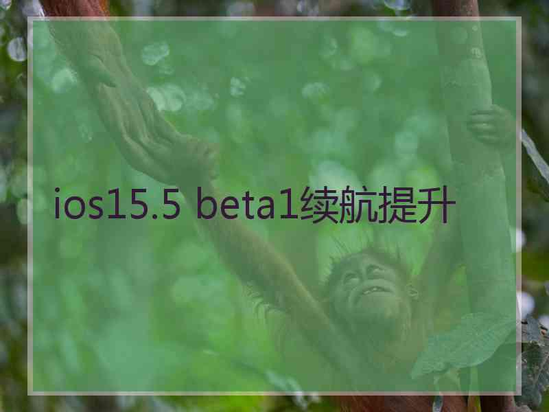 ios15.5 beta1续航提升