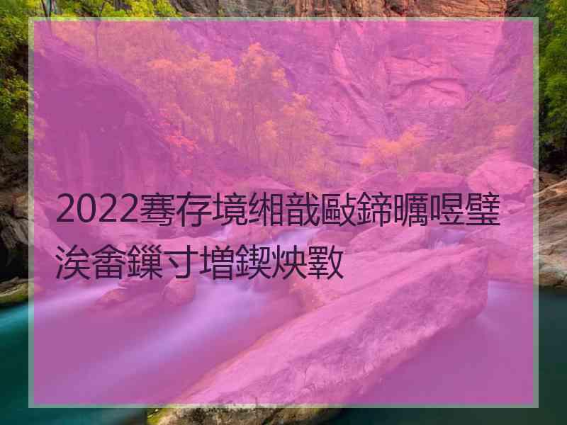2022骞存境缃戠敺鍗曞喅璧涘畬鏁寸増鍥炴斁