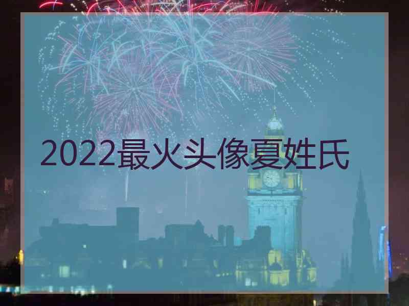 2022最火头像夏姓氏