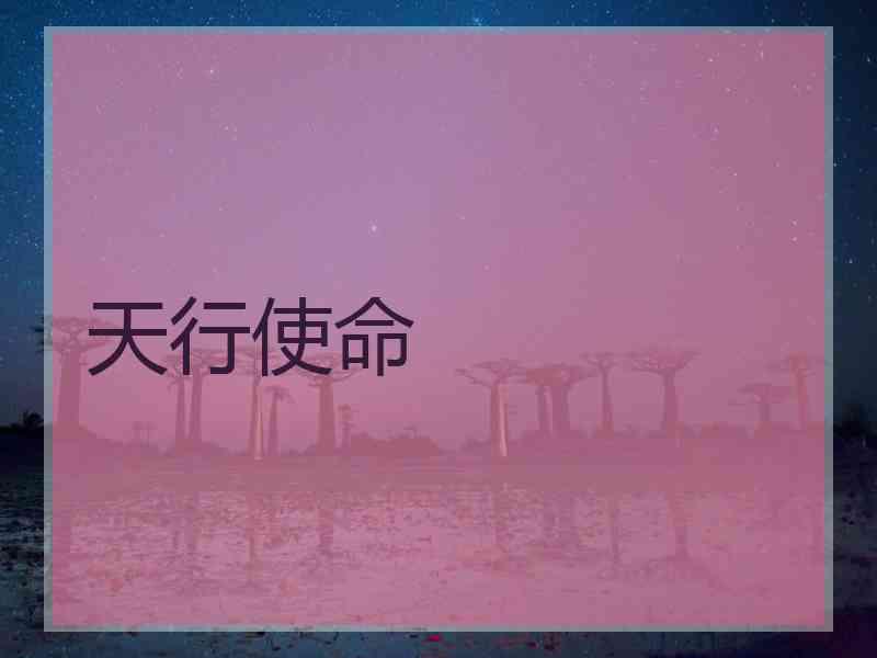 天行使命