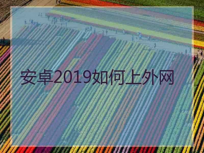 安卓2019如何上外网