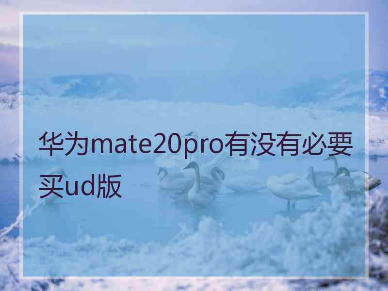 华为mate20pro有没有必要买ud版