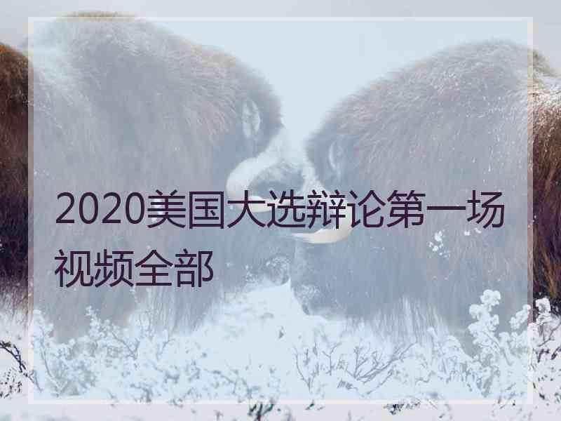 2020美国大选辩论第一场视频全部
