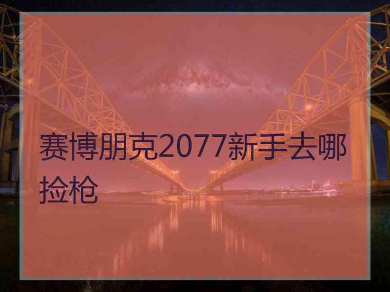 赛博朋克2077新手去哪捡枪