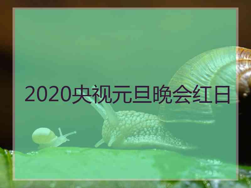2020央视元旦晚会红日