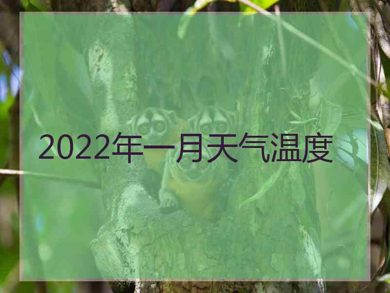 2022年一月天气温度
