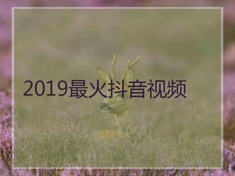 2019最火抖音视频