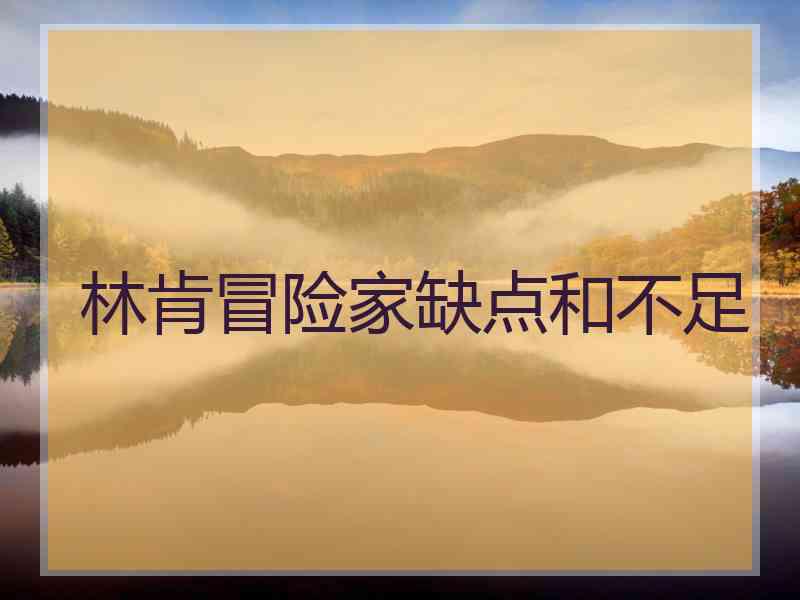 林肯冒险家缺点和不足