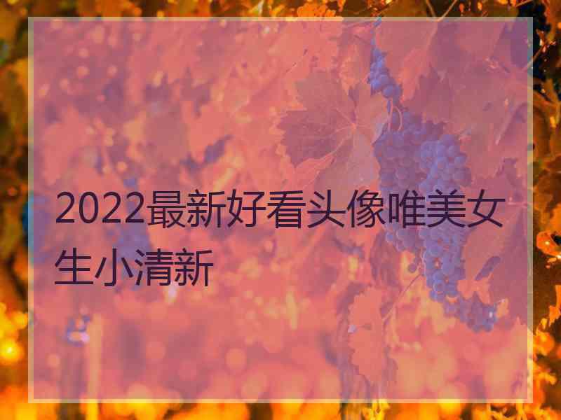 2022最新好看头像唯美女生小清新