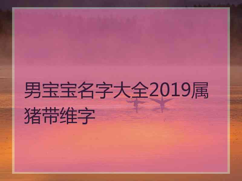 男宝宝名字大全2019属猪带维字