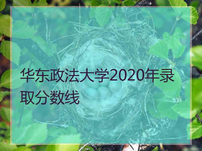 华东政法大学2020年录取分数线