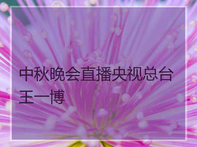 中秋晚会直播央视总台王一博