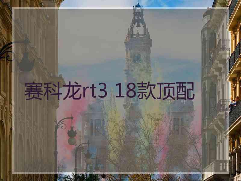赛科龙rt3 18款顶配