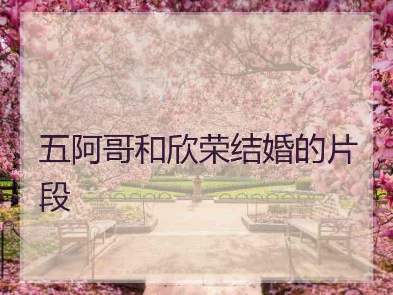 五阿哥和欣荣结婚的片段