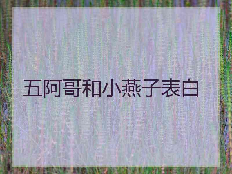 五阿哥和小燕子表白