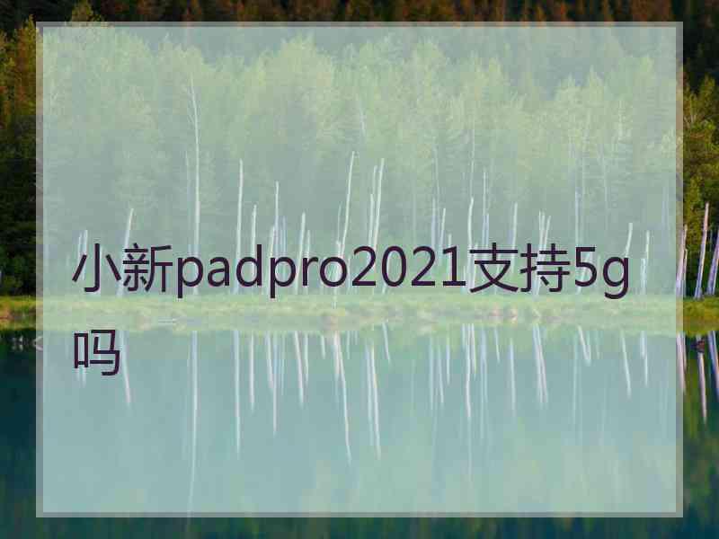 小新padpro2021支持5g吗