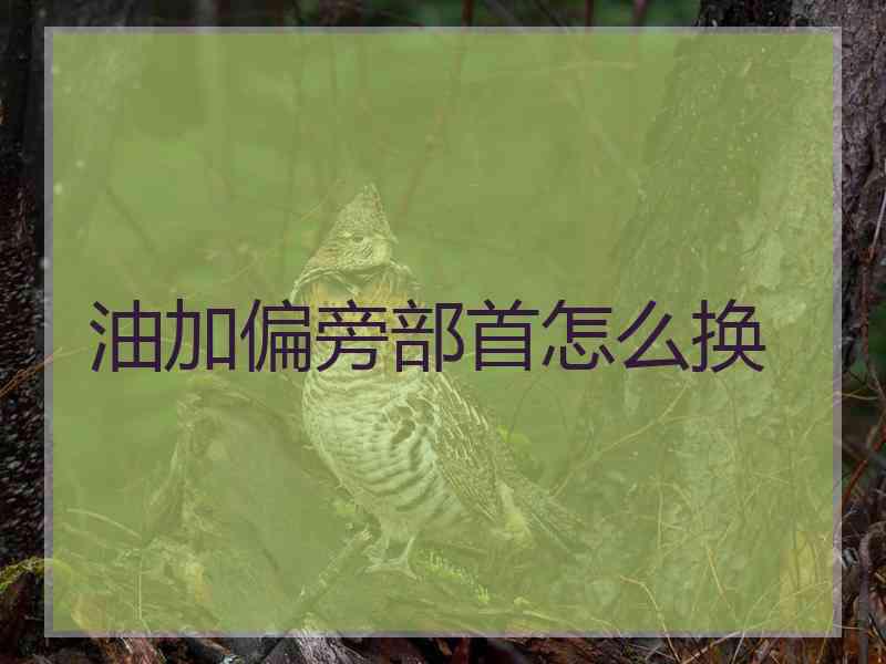 油加偏旁部首怎么换