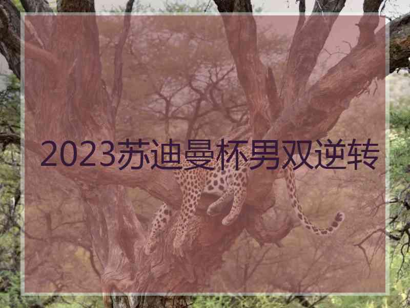 2023苏迪曼杯男双逆转