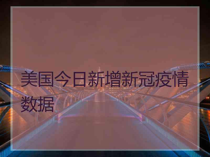 美国今日新增新冠疫情数据