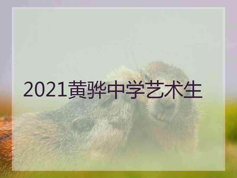 2021黄骅中学艺术生