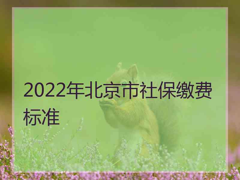 2022年北京市社保缴费标准