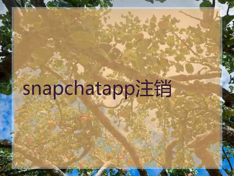 snapchatapp注销
