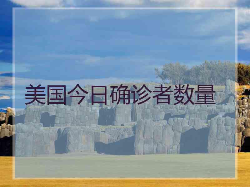 美国今日确诊者数量
