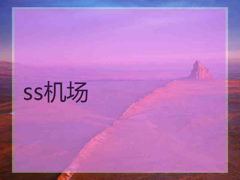ss机场