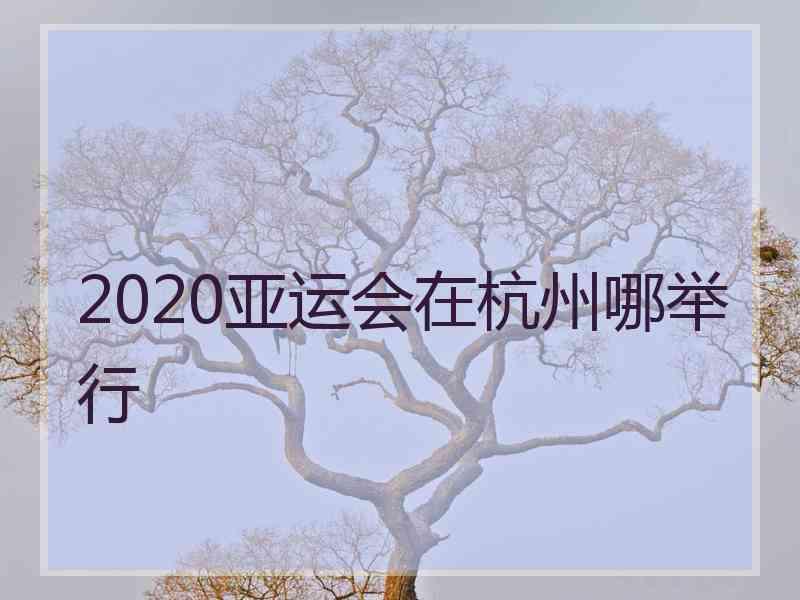 2020亚运会在杭州哪举行