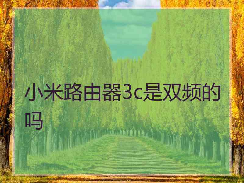 小米路由器3c是双频的吗