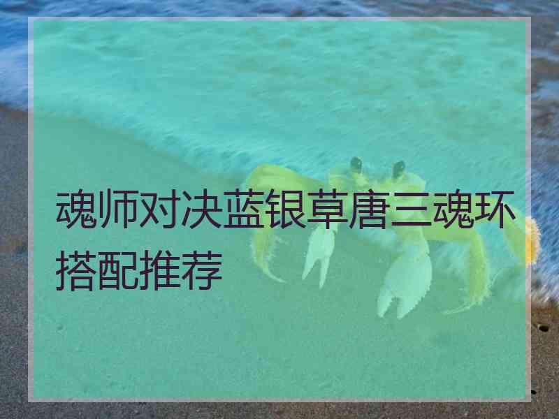 魂师对决蓝银草唐三魂环搭配推荐