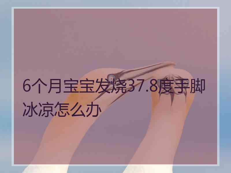 6个月宝宝发烧37.8度手脚冰凉怎么办