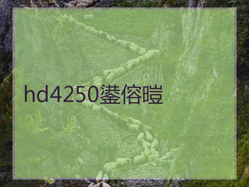 hd4250鍙傛暟