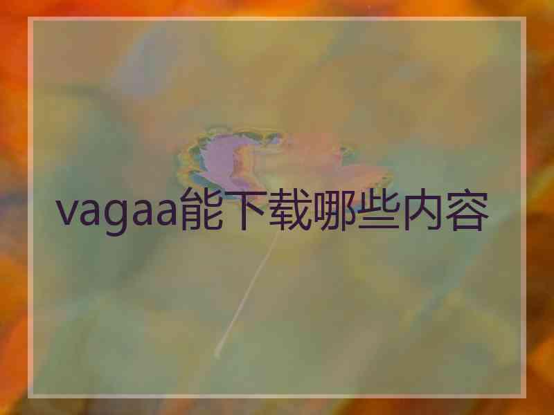 vagaa能下载哪些内容