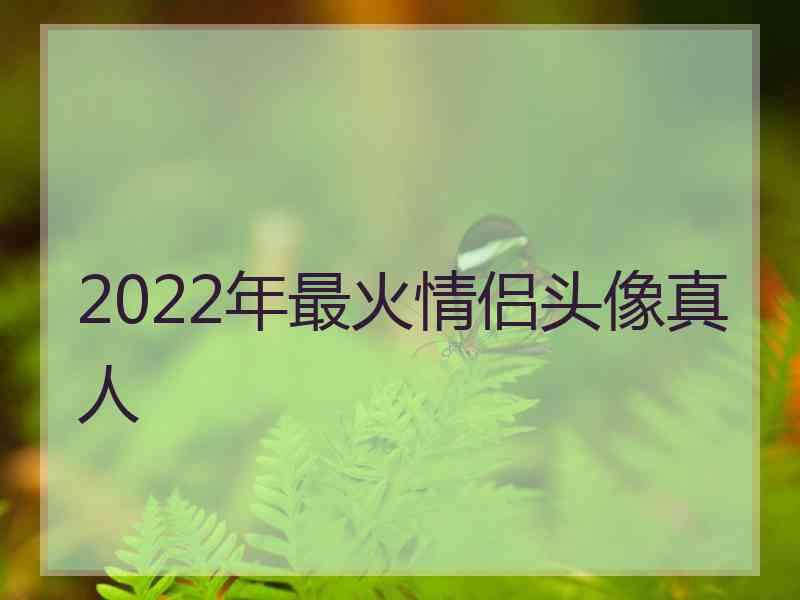 2022年最火情侣头像真人