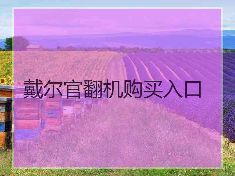 戴尔官翻机购买入口