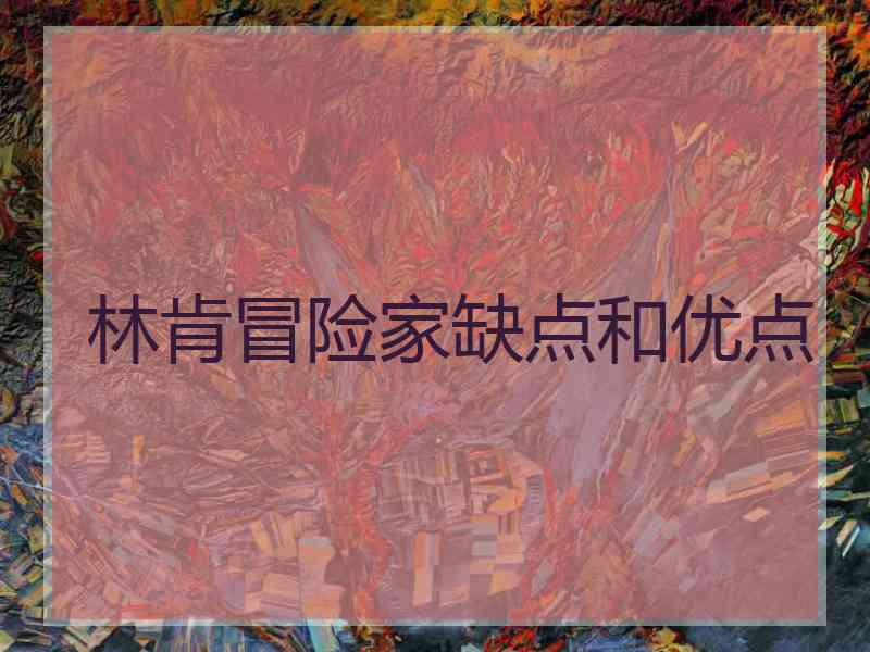林肯冒险家缺点和优点