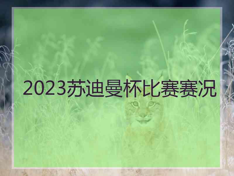 2023苏迪曼杯比赛赛况