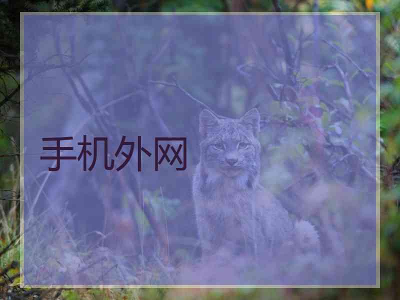 手机外网