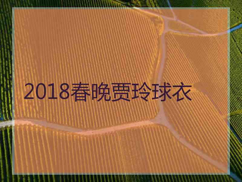 2018春晚贾玲球衣