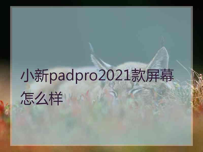 小新padpro2021款屏幕怎么样
