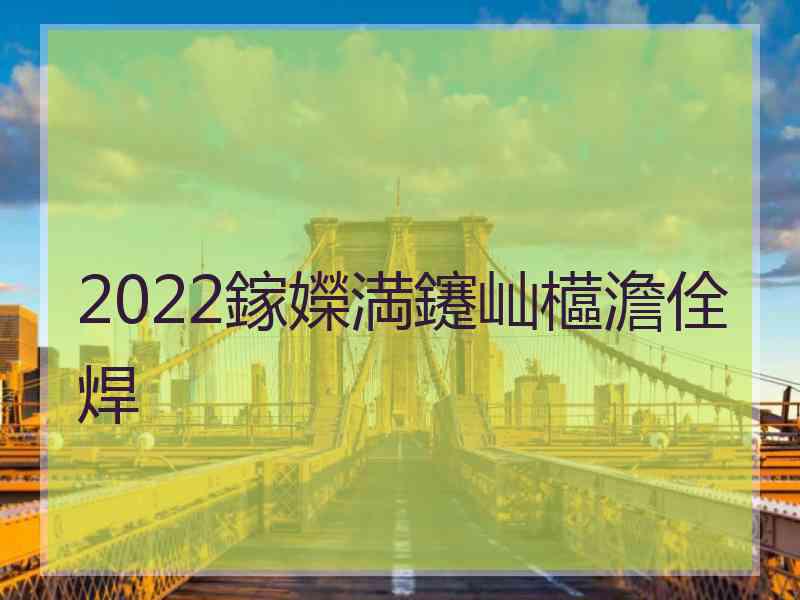 2022鎵嬫満鑳屾櫙澹佺焊
