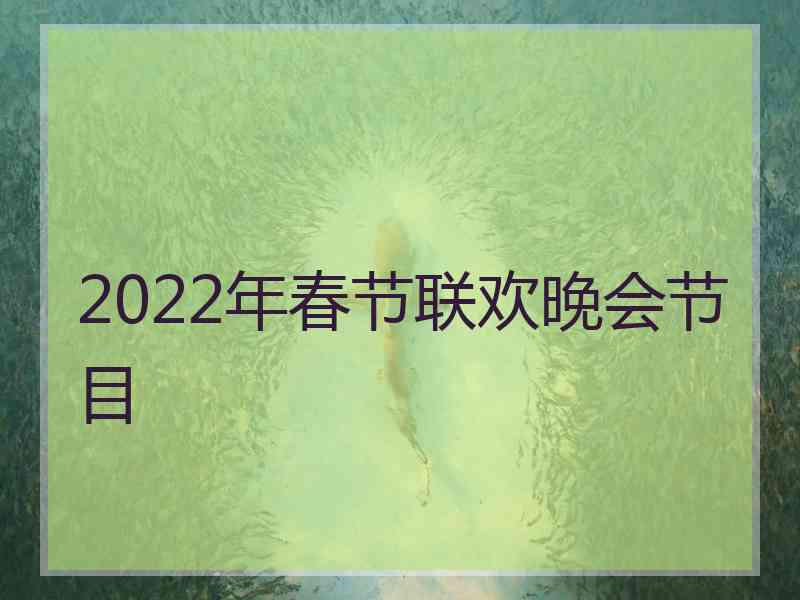 2022年春节联欢晚会节目